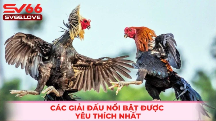 Giải đấu C1 nổi tiếng và được yêu thích bậc nhất